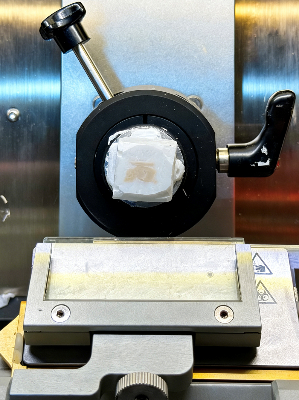 frozen sectioning